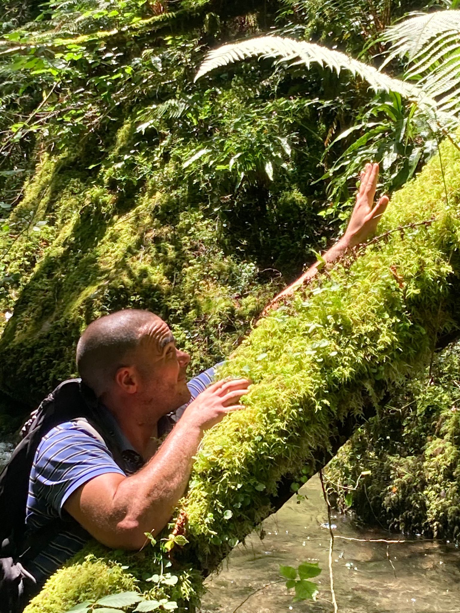 Profil de Loucian, 41 ans, Pute à Eschette