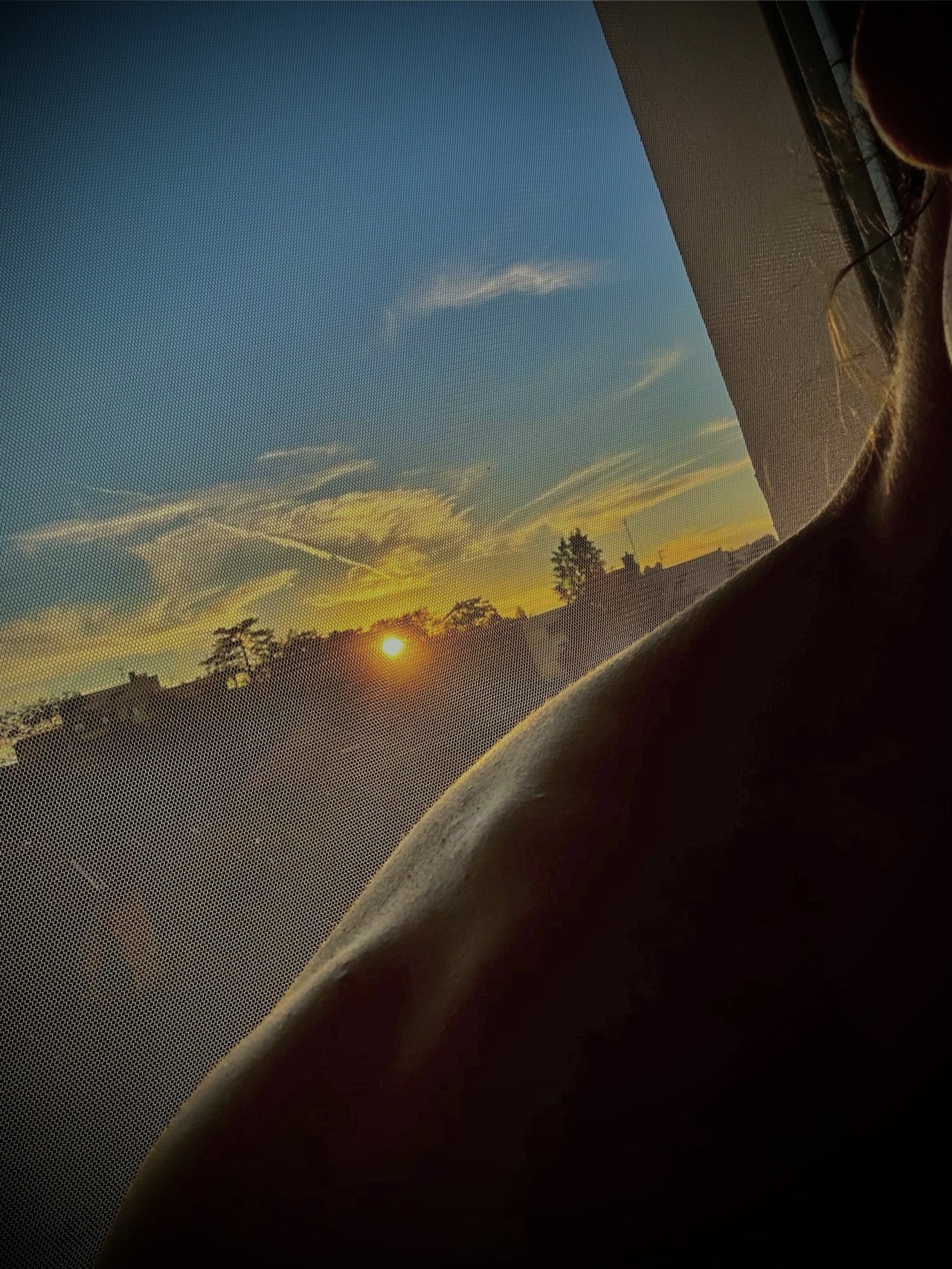 Profil de Naveen, 21 ans, Pute à Lieler