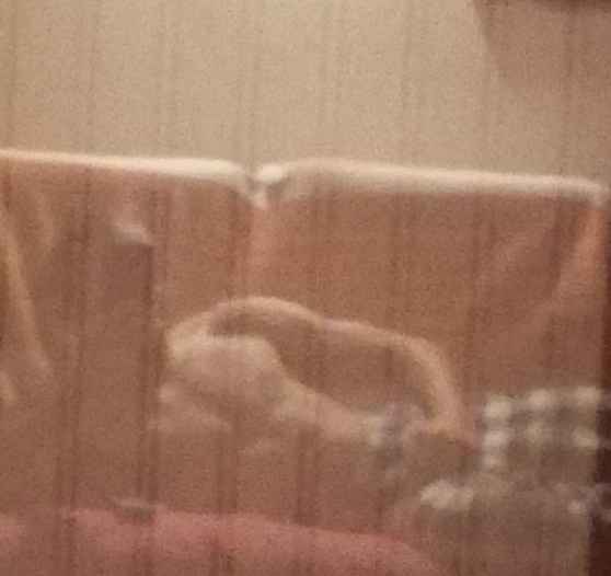 Profil de Uriel, 23 ans, Pute à Born